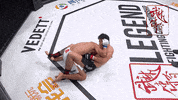 GIF by Legend FC