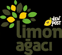 limonagaciajans limonagaciajans limon agaci ajans limonagaci limon agaci GIF