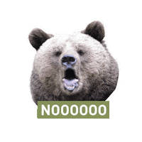 Bear Shock Sticker by FOUR PAWS