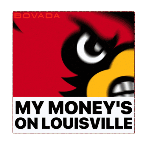 Louisville Cardinals Sticker by Bovada
