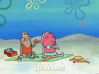 season 6 GIF by SpongeBob SquarePants
