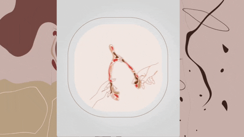 ladeees giphyupload wishbone lades ladesoyunu GIF