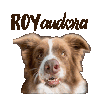 Luolivier Sticker