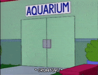 homer simpson fighting GIF