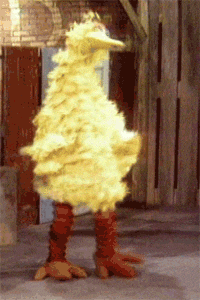 muppetwiki dance sesame street muppets big bird GIF
