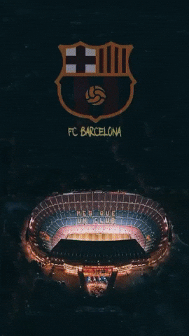 enayatperak giphycreatortest GIF