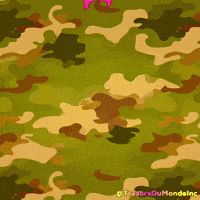 Fait Au Canada GIF by TresorsDuMonde.ca