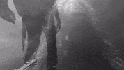 Heavy Metal GIF by Machine Head