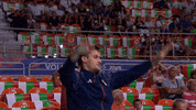 Celebrate United States GIF by Volleyball World