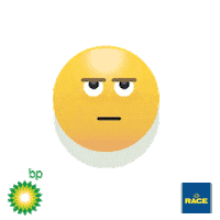 SeguridadVial car race moto helmet Sticker