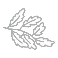 Plant Sticker by odsanyu