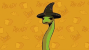 Excited Its Friday GIF by Quest Snakes
