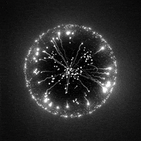 Black And White Loop GIF by xponentialdesign