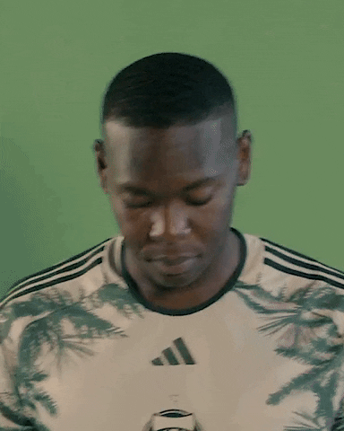 Mls Portland GIF by Timbers