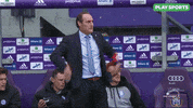 sport buffalo GIF by Play Sports