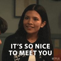 Warm Welcome Pleasure To Meet You GIF by NETFLIX