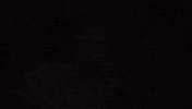 Actress Omg GIF by Warner Bros. Deutschland