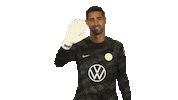 Vfl Wolfsburg Hello Sticker by Bundesliga