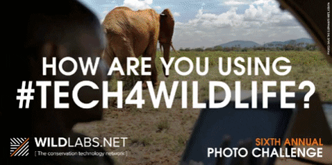 sodo7968 giphygifmaker wildlife conservation tech4good GIF