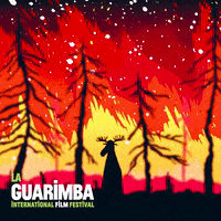 Scared On Fire GIF by La Guarimba Film Festival
