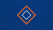 Julia Wheeler GIF by Carson-Newman Athletics