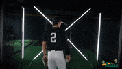 Tulane Rollwave GIF by GreenWave