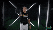 Tulane Rollwave GIF by GreenWave