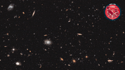 Deep Space Stars GIF by ESA/Hubble Space Telescope