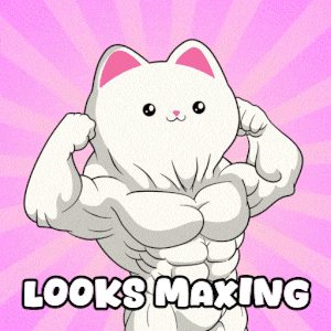 Cat GIF by Silly Kitties