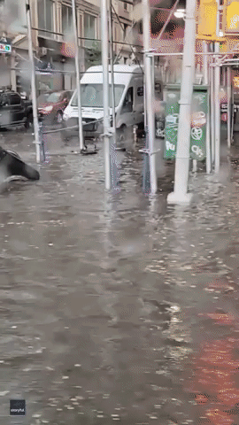 Men Dive Into New York City Floodwaters 
