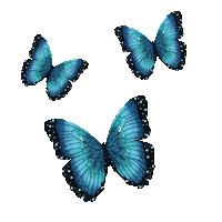 zianethali blue glitter azul butterflies Sticker