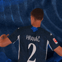 Sport Bundesliga GIF by TSG Hoffenheim
