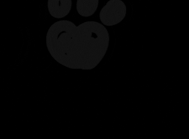 Text Dogs GIF by Petland Florida