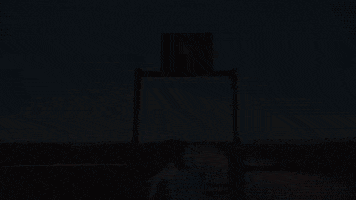 texas GIF