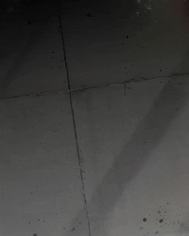 Paulo Henrique Ph GIF