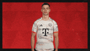 Fc Bayern Football GIF by Bundesliga