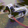 Rain Cuteness GIF