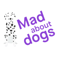 TheKennelClubUK the kennel club discover dogs discoverdogs cuddlecorner Sticker