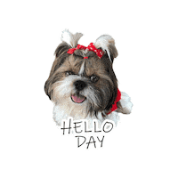 Shihtzu Sticker by mydog