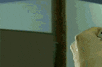 90S Vintage GIF