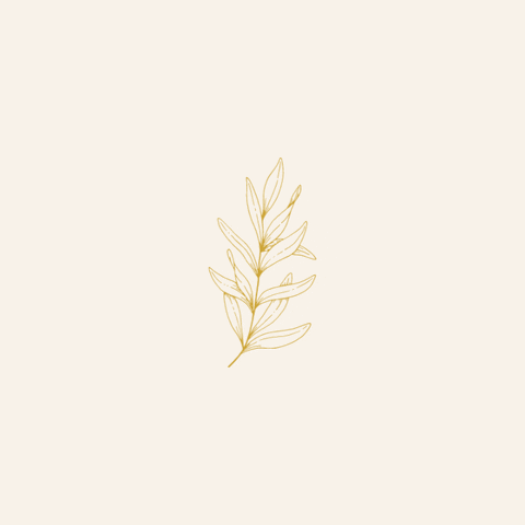 vegaduque  GIF