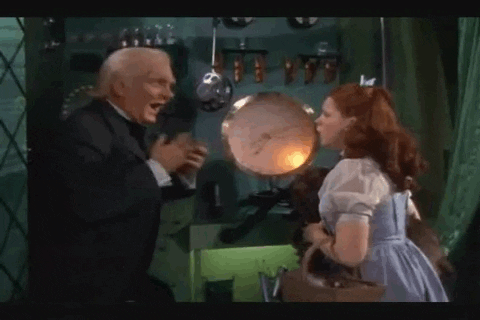 the wizard of oz GIF