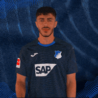 Sport Bundesliga GIF by TSG Hoffenheim