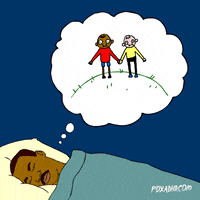GIF by Animation Domination High-Def