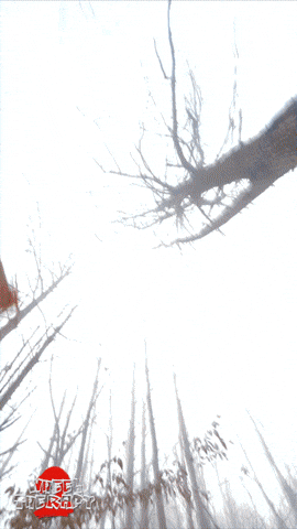 Fail Knock Out GIF