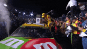 Happy Kyle Busch GIF by NASCAR