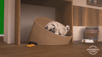 Cartoon gif. A pug sleeps in his basket. Pan to a dog that bolts up and excitedly pants with its tongue hanging out. Text, "It's Friday."