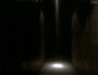 x files GIF by The X-Files