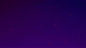 Coming Lets Go GIF by ATLUS West