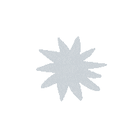Star Night Sticker